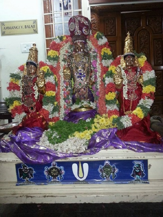 Keelkattalai Sri Srinivasa Perumal Temple Dhavanaothsavam8
