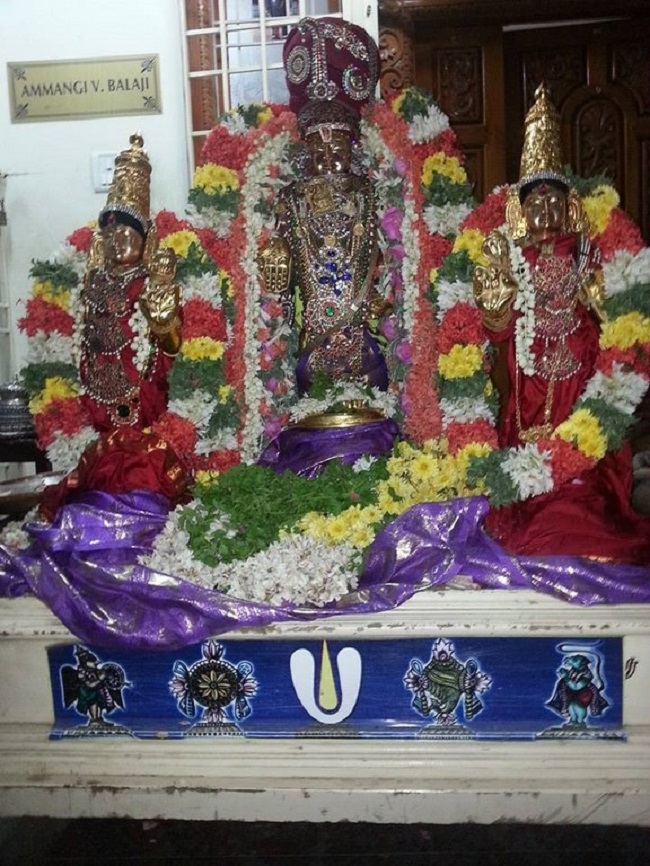 Keelkattalai Sri Srinivasa Perumal Temple Dhavanaothsavam9