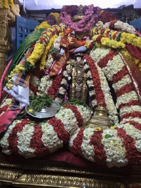 Kooram Swami Koorathazhwan Thiruavathara Mahothsavam17