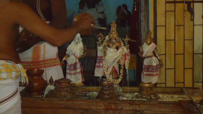 Kurichi Abeeshta Varadaraja Perumal Temple Thirumanjanam 2015 -34