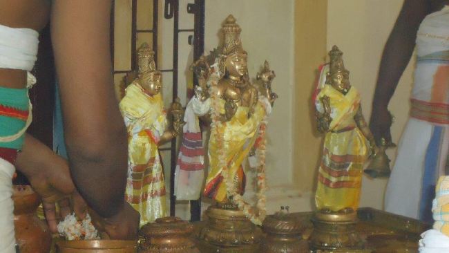 Kurichi Abeeshta Varadaraja Perumal Temple Thirumanjanam 2015 -41