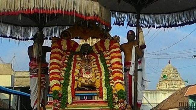 Madhuramangalam Swami Embar Thiruavathara Mahothsavam11