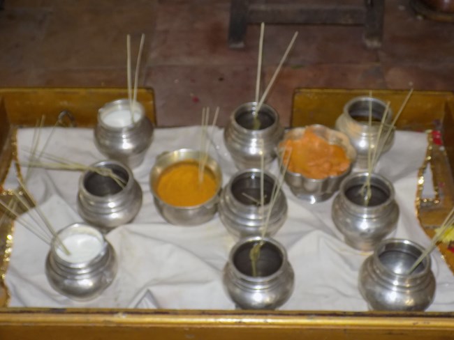 Madipakkam Sri Oppilliappan Pattabhisheka Ramar Temple Vanabhojana Utsavam14