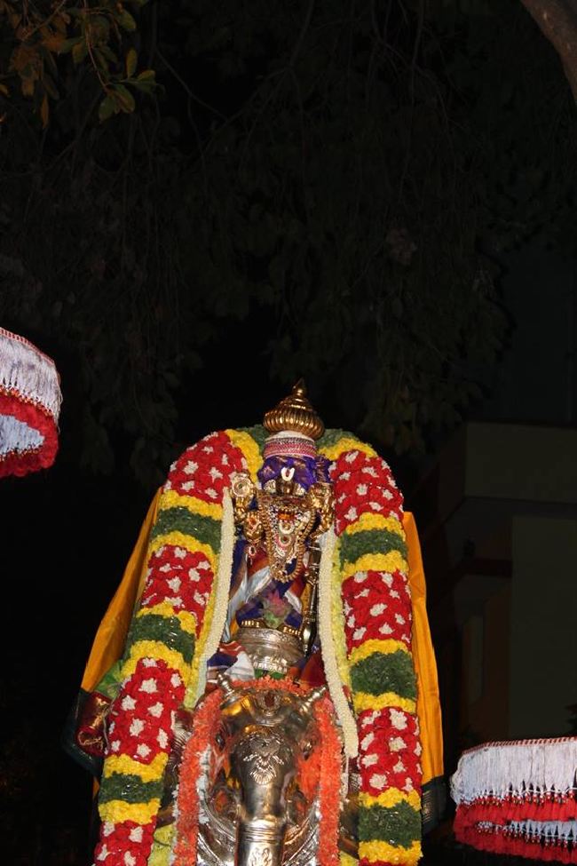 Malleswaram Sri Lakshmi Narasimha Swamy Brahmotsavam Day 5 2015 -07
