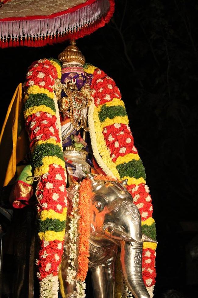 Malleswaram Sri Lakshmi Narasimha Swamy Brahmotsavam Day 5 2015 -08