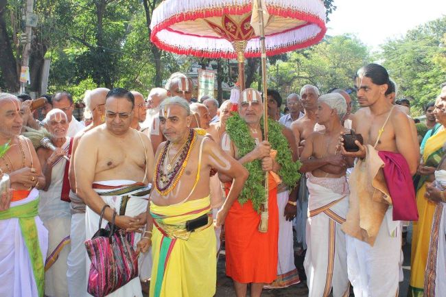 Malleswaram Sri Lakshmi Narasimha Swamy Rathotsavam Day 6  2015 -02