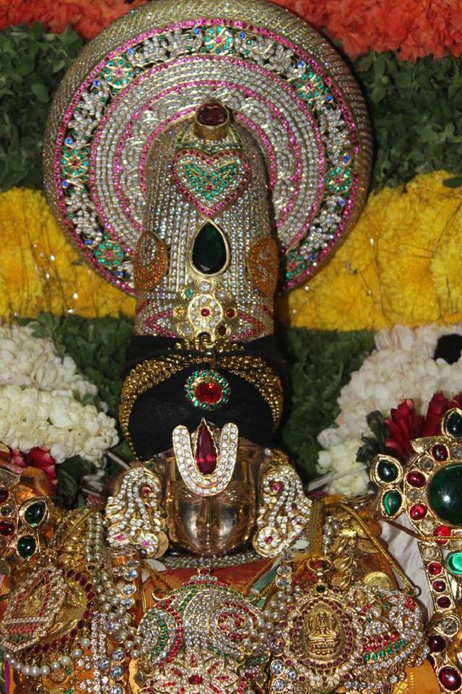 Malleswaram Sri Lakshmi Narasimha Swamy Rathotsavam Day 6  2015 -13