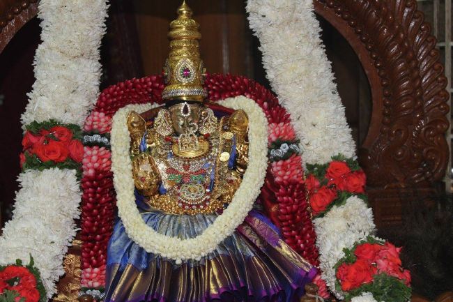 Malleswaram Sri Lakshmi Narasimha Swamy Rathotsavam Day 6  2015 -18