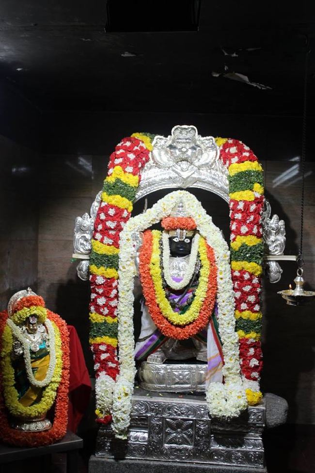 Malleswaram Sri Lakshmi Narasimha Swamy Rathotsavam Day 6  2015 -23