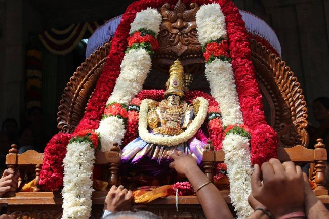 Malleswaram Sri Lakshmi Narasimha Swamy Rathotsavam Day 6  2015 -39