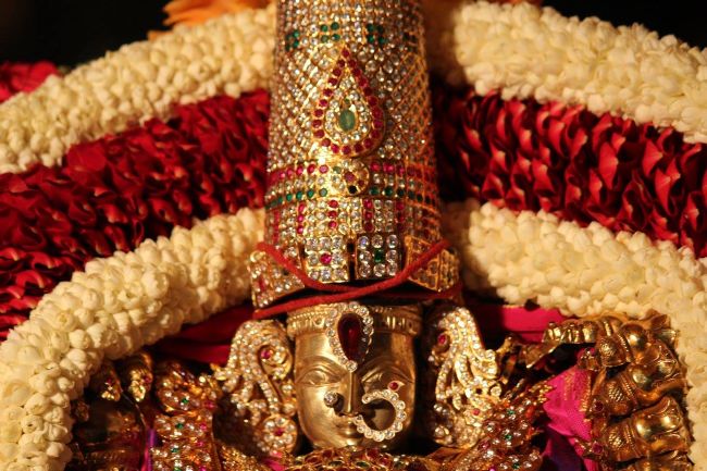 Malleswaram Sri Lakshmi Narasimha Swamy Temple Brahmotsavam Garuda Sevai -28