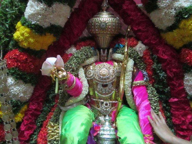 Malleswaram Sri Lakshmi Narasimha Swamy Temple Brahmotsavam Garuda Sevai -48