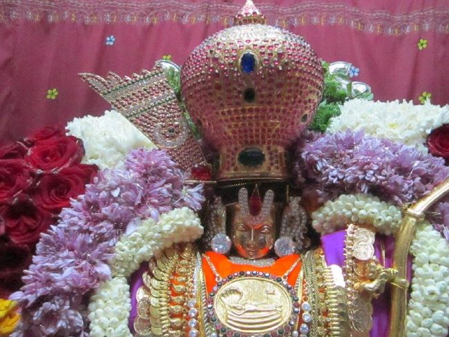Malleswaram Sri Lakshmi Narasimha Swamy Temple Brahmotsavam day 3  2015 -06