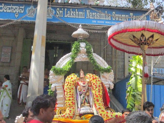 Malleswaram Sri Lakshmi Narasimha Swamy Temple Brahmotsavam day 3  2015 -07