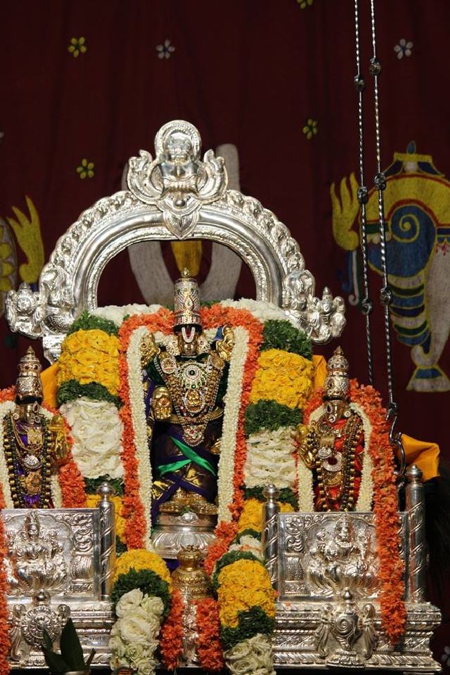 Malleswaram Sri Lakshmi Narasimhaswamy Temple brahmotsavam day 6 2015 -6