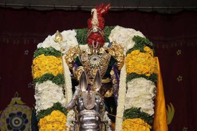 Malleswaram Sri Lakshmi Narasimhaswamy Temple brahmotsavam day 6 Kudhirai vahanam 2015 -06