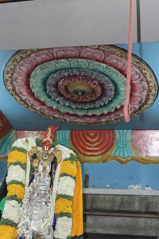 Malleswaram Sri Lakshmi Narasimhaswamy Temple brahmotsavam day 6 Kudhirai vahanam 2015 -08