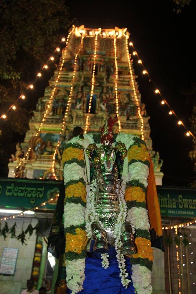 Malleswaram Sri Lakshmi Narasimhaswamy Temple brahmotsavam day 6 Kudhirai vahanam 2015 -13