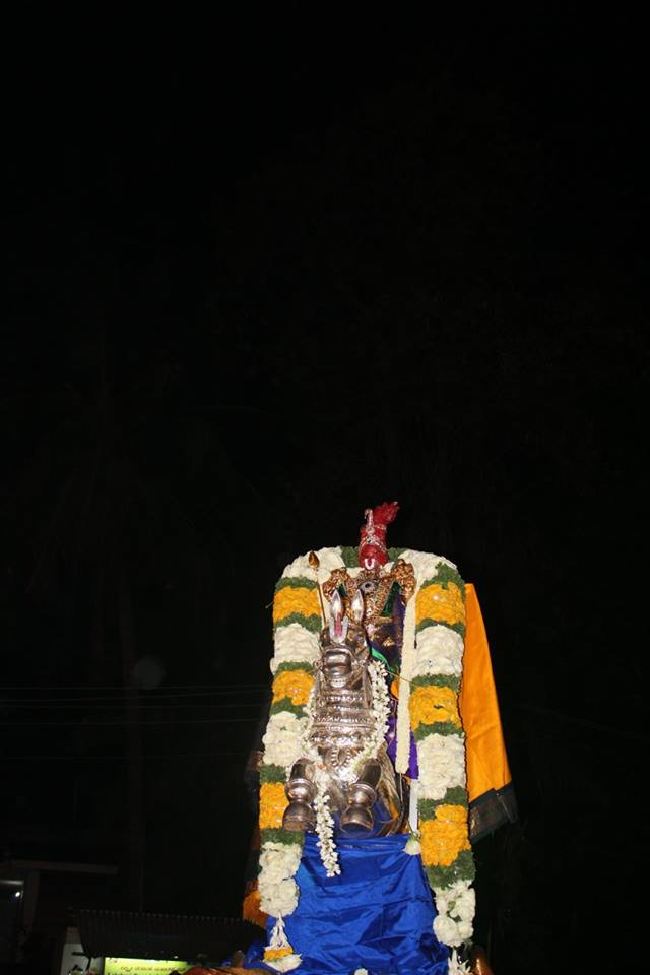 Malleswaram Sri Lakshmi Narasimhaswamy Temple brahmotsavam day 6 Kudhirai vahanam 2015 -17