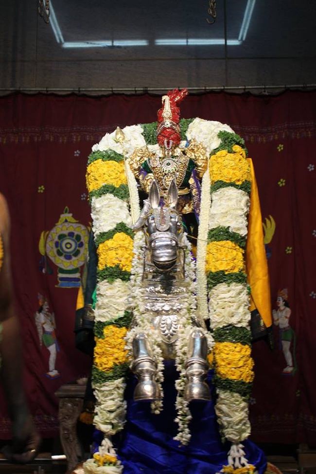 Malleswaram Sri Lakshmi Narasimhaswamy Temple brahmotsavam day 6 Kudhirai vahanam 2015 -18
