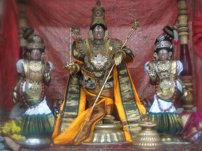 Mannai Rajagopalaswami alankaram during THiruadhyayana Utsavam 2015-05