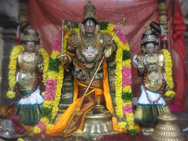Mannai Rajagopalaswami alankaram during THiruadhyayana Utsavam 2015-07