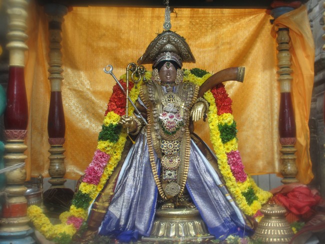 Mannai Rajagopalaswami alankaram during THiruadhyayana Utsavam 2015-08