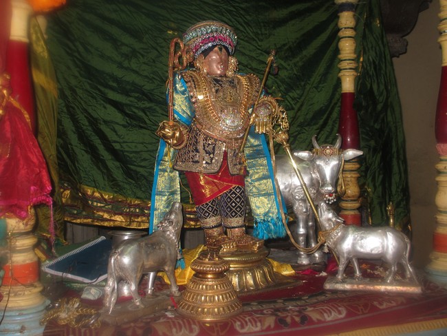 Mannai Rajagopalaswami alankaram during THiruadhyayana Utsavam 2015-13