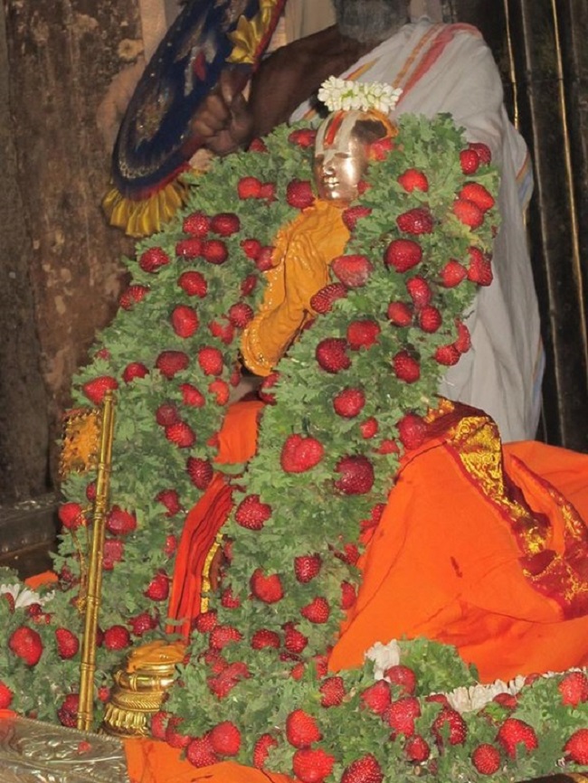 Melkote Swami Ramanujar Thai Thiruvadirai Utsavam4