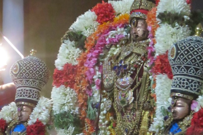 Monthly Purattadhi Tirumanjanam at the Brindavanam of Kanchi Sri Devaperumal Ammavasai Purappadu-2015-05