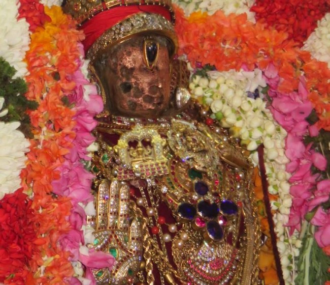 Monthly Purattadhi Tirumanjanam at the Brindavanam of Kanchi Sri Devaperumal Ammavasai Purappadu-2015-11
