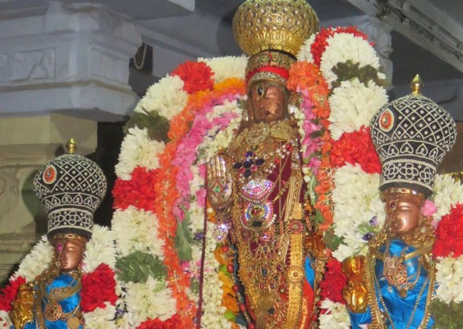 Monthly Purattadhi Tirumanjanam at the Brindavanam of Kanchi Sri Devaperumal Ammavasai Purappadu-2015-15