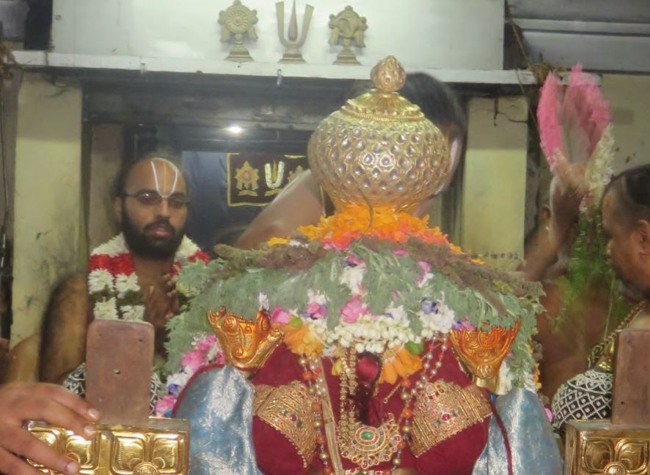 Monthly Purattadhi Tirumanjanam at the Brindavanam of Kanchi Sri Devaperumal Ammavasai Purappadu-2015-17