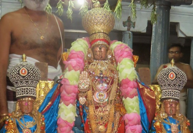 Monthly Purattadhi Tirumanjanam at the Brindavanam of Kanchi Sri Devaperumal Ammavasai Purappadu-2015-20
