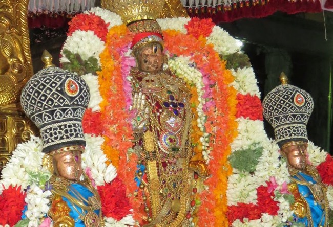 Monthly Purattadhi Tirumanjanam at the Brindavanam of Kanchi Sri Devaperumal Ammavasai Purappadu-2015-32