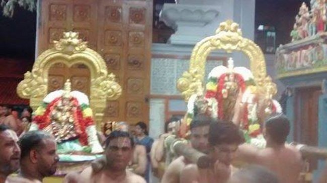 Mylapore SVDD Srinivasa Perumal Temple Masi Masa Pirappu Purappadu1
