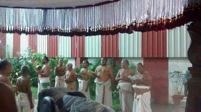 Mylapore SVDD Srinivasa Perumal Temple Masi Masa Pirappu Purappadu10