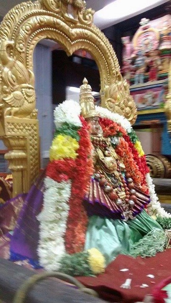 Mylapore SVDD Srinivasa Perumal Temple Masi Masa Pirappu Purappadu3