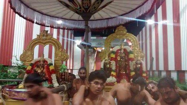 Mylapore SVDD Srinivasa Perumal Temple Masi Masa Pirappu Purappadu5