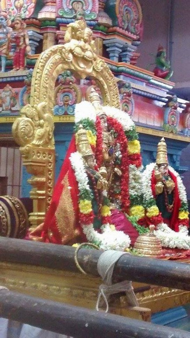 Mylapore SVDD Srinivasa Perumal Temple Masi Masa Pirappu Purappadu7