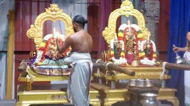 Mylapore SVDD Srinivasa Perumal Temple Masi Masa Pirappu Purappadu8