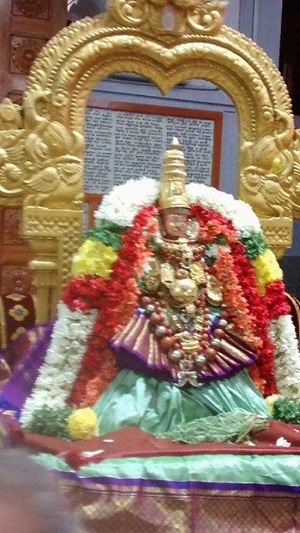 Mylapore SVDD Srinivasa Perumal Temple Masi Masa Pirappu Purappadu9