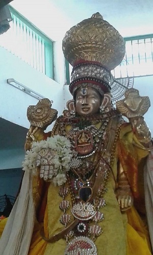 Mylapore SVDD Srinivasa Perumal Temple Rathasapthami Purappadu16