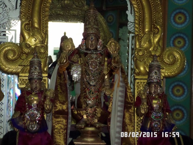 Mylapore SVDD Srinivasa Perumal Temple Sri Koorathazhwan Thirunakshatra Utsavam7