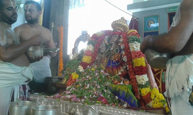 Mylapore SVDD Srinivasa Perumal Temple Sri Lakshmi Hayagreeva Lakshacharnai 10