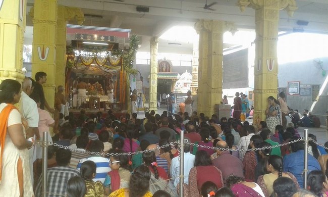 Mylapore SVDD Srinivasa Perumal Temple Sri Lakshmi Hayagreeva Lakshacharnai 11
