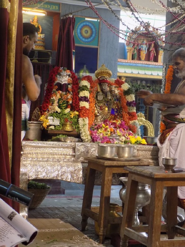 Mylapore SVDD Srinivasa Perumal Temple Sri Lakshmi Hayagreeva Lakshacharnai 20