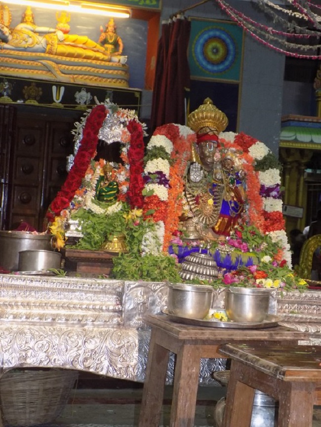 Mylapore SVDD Srinivasa Perumal Temple Sri Lakshmi Hayagreeva Lakshacharnai 22