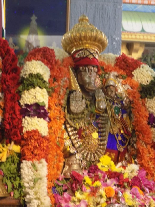 Mylapore SVDD Srinivasa Perumal Temple Sri Lakshmi Hayagreeva Lakshacharnai 23