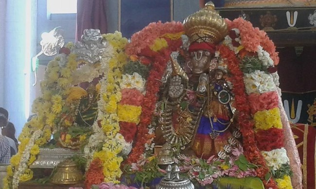 Mylapore SVDD Srinivasa Perumal Temple Sri Lakshmi Hayagreeva Lakshacharnai 5